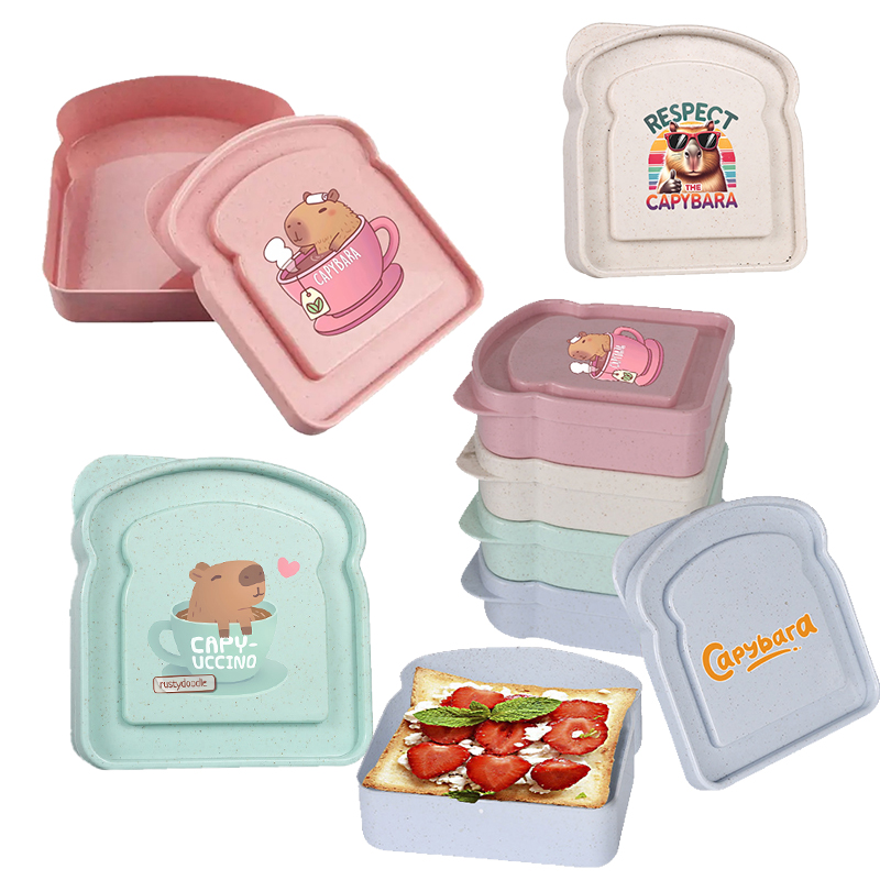 Food Storage With Dividers - Capybara Sandwich mallette de conservation des